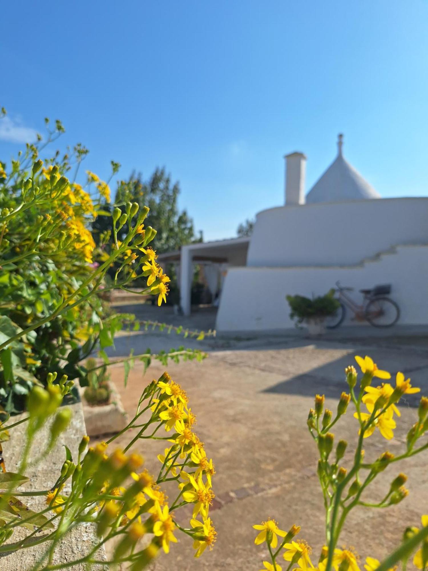 Holiday Home Trullo Antico Остуні Екстер'єр фото