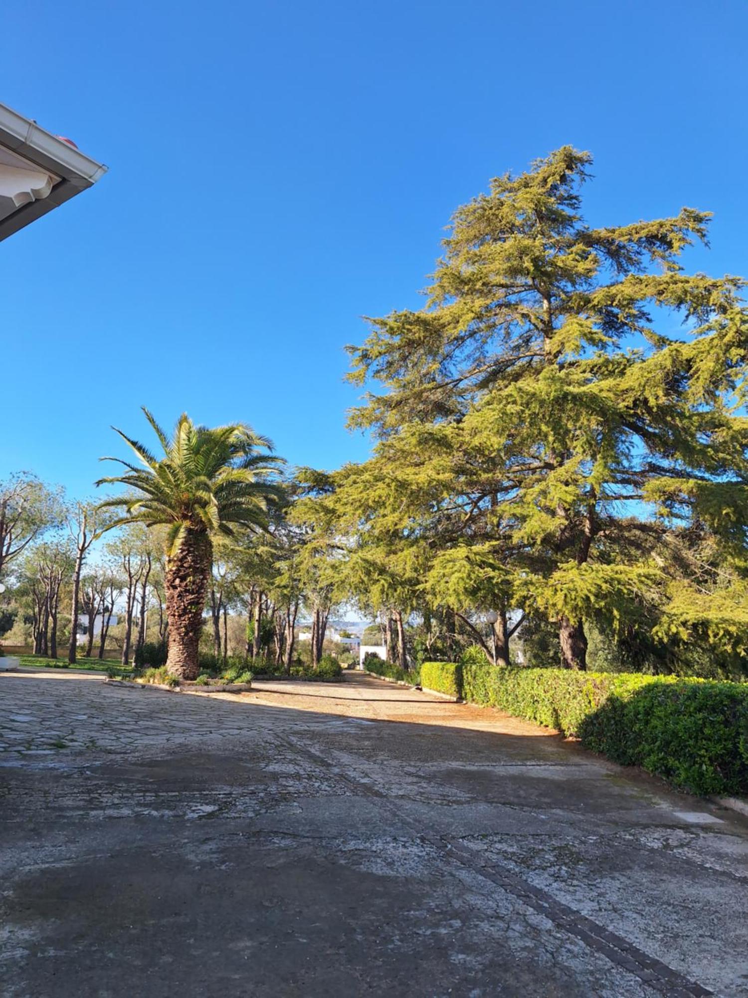 Holiday Home Trullo Antico Остуні Екстер'єр фото